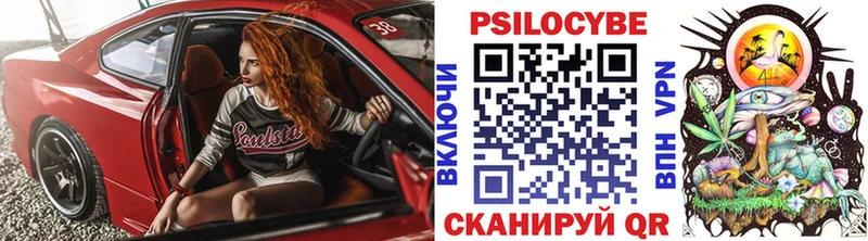Галлюциногенные грибы Psilocybine cubensis  наркотики  Орлов 
